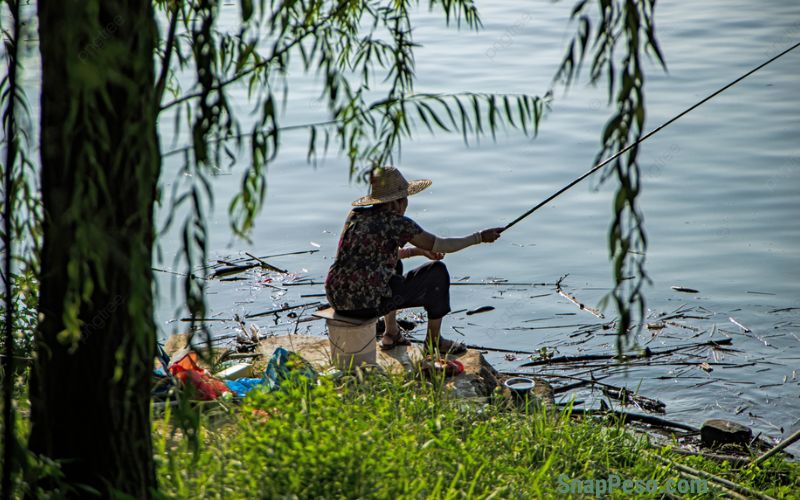 Cách đọc thời tiết để chọn thời điểm câu cá