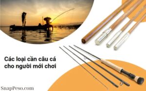 Lựa Chọn Dụng Cụ Câu Cá Phù Hợp (1)